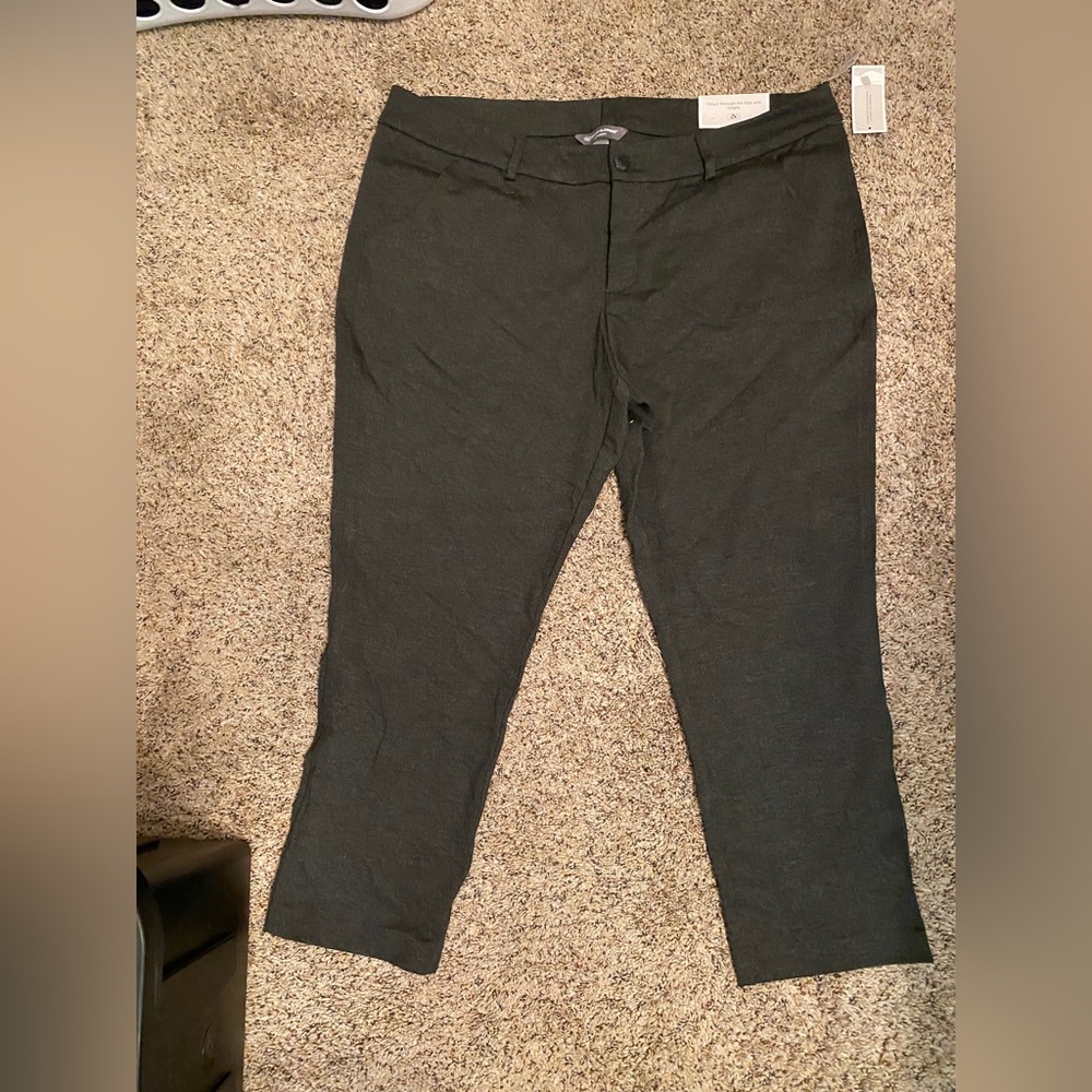 Christopher and Banks 22W petite trousers. Gray. NWT